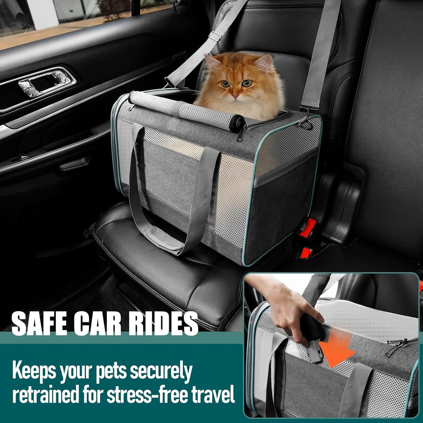 Pet Carrier Bag for Large Cats & Small Dogs β Perfect for Long Trips