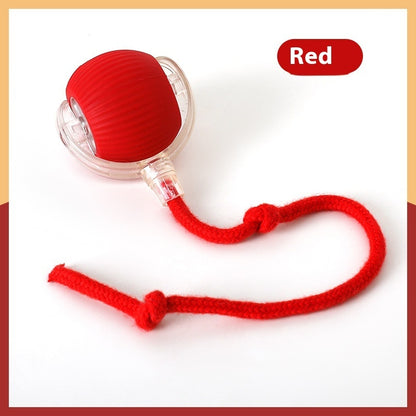 Interactive Cat Toy Ball – Super Drive Rolling Ball for Indoor Cats | Self-Moving Smart Toy for Active Play & Exercise