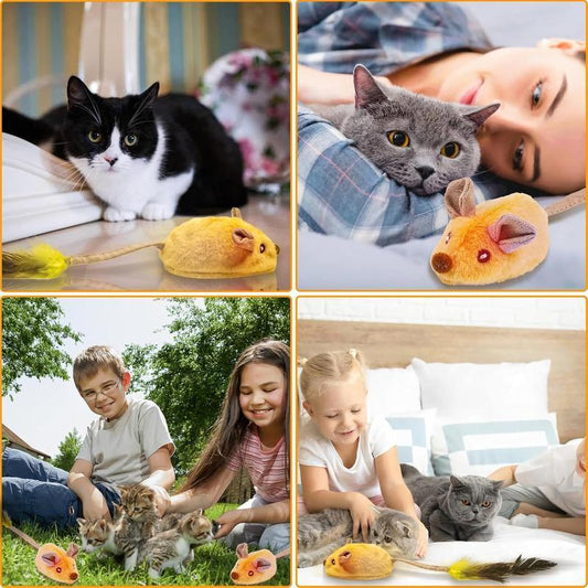 Interactive Cat Mouse Toy with LED, Feather Tail & Catnip – USB Rechargeable