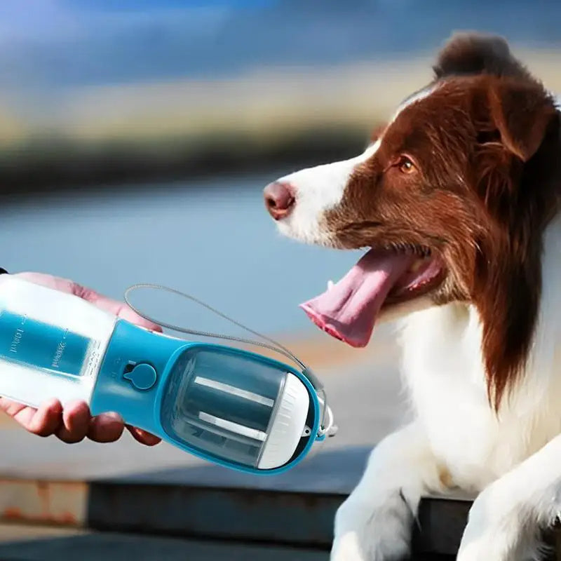 Dog Water Cup Drinking Food Garbage Bag Three-in-one Portable Small Multi-functional For Pets