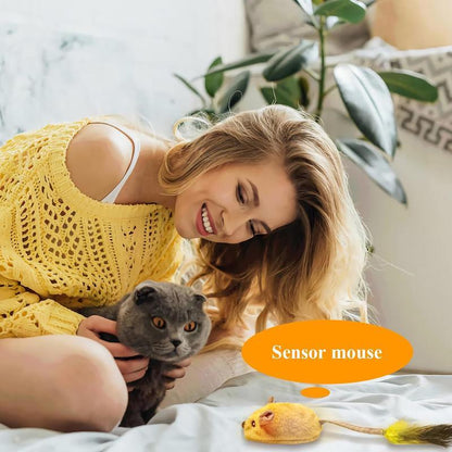Interactive Cat Mouse Toy with LED, Feather Tail & Catnip – USB Rechargeable