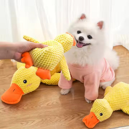 Calming Duck for Dogs –  Calming & Chew-Resistant