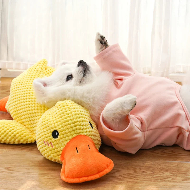 Calming Duck for Dogs –  Calming & Chew-Resistant