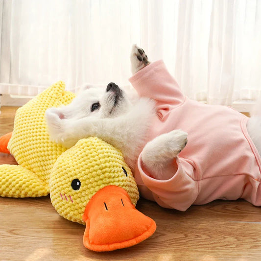 Calming Duck for Dogs –  Calming & Chew-Resistant