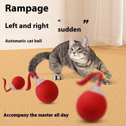 Interactive Cat Toy Ball – Super Drive Rolling Ball for Indoor Cats | Self-Moving Smart Toy for Active Play & Exercise