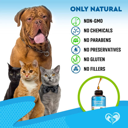 Natural Kennel Cough & Respiratory Relief for Dogs & Cats – Cough, Cold, Trachea & Asthma Support