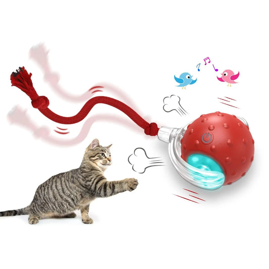 Interactive Cat Toy Ball – Super Drive Rolling Ball for Indoor Cats | Self-Moving Smart Toy for Active Play & Exercise